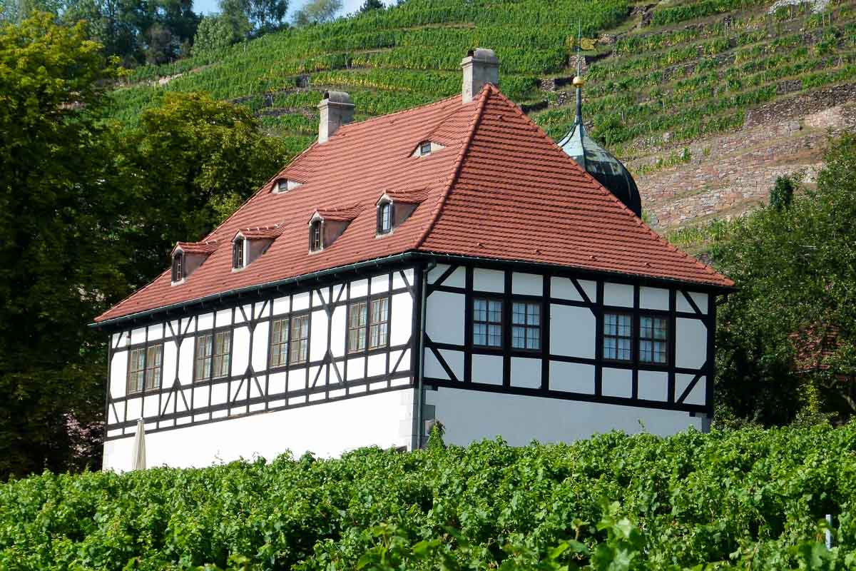 Weingut Hoflößnitz